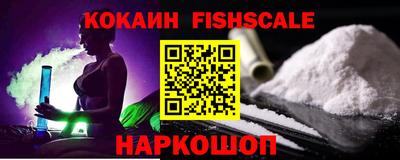 Альфа ПВП Камышлов