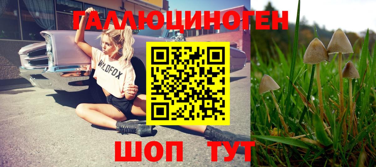 Галлюциногенные грибы MAGIC MUSHROOMS  Галлюциногенные грибы мухоморы  Тайшет  Вход с VPN 